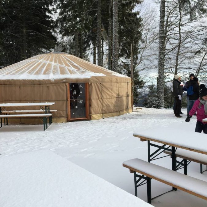 Le Parc l’hiver ! Colmar 2