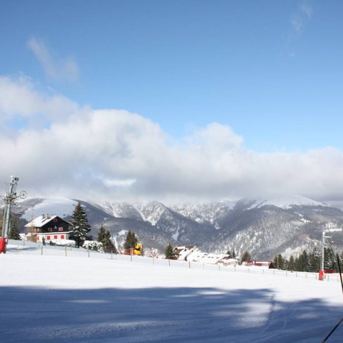 Le Parc l’hiver ! Wittelsheim 11