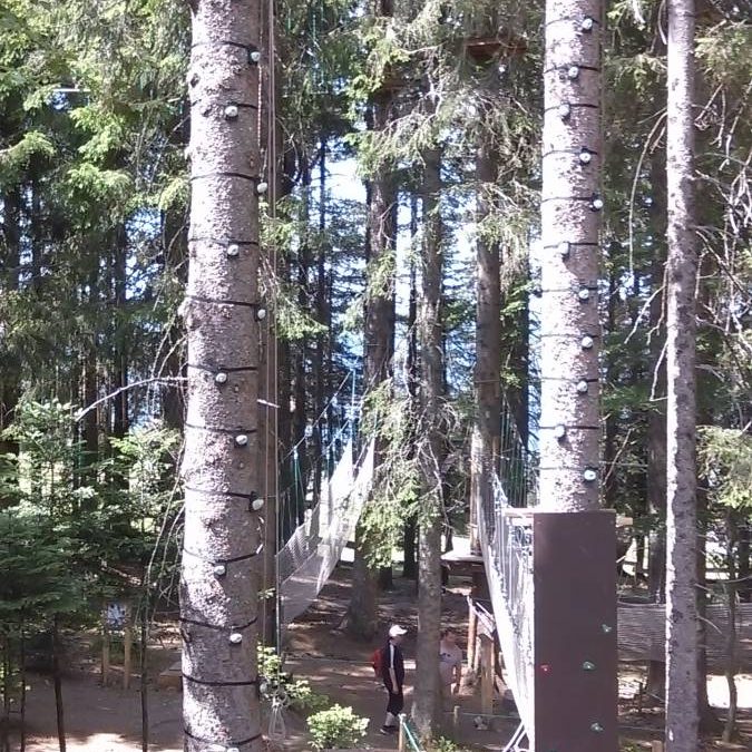 Escalad arbres Wittelsheim 0