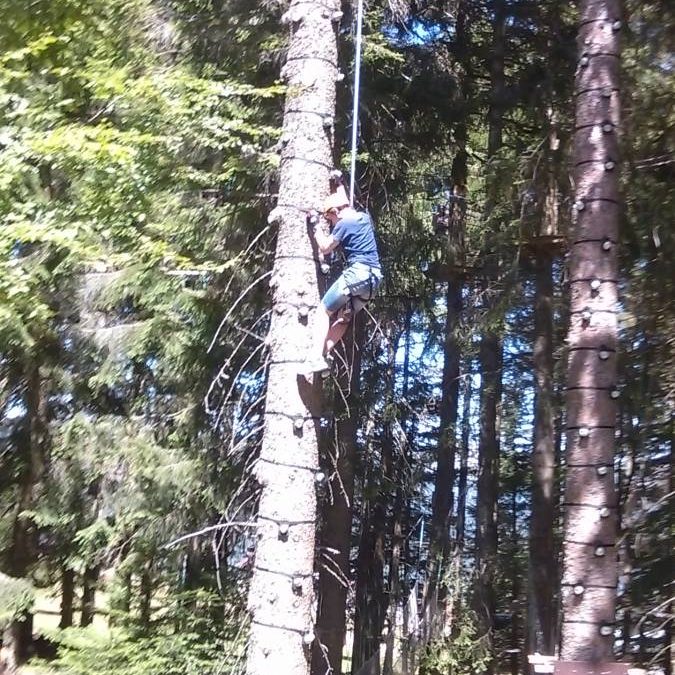 Escalad arbres Cernay 1