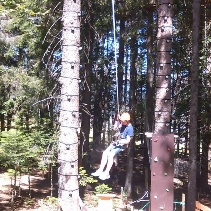 Escalad arbres Mulhouse 2
