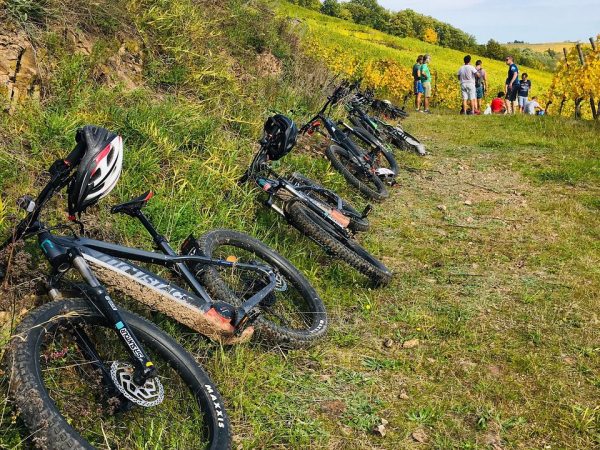 VTT &amp; VTT eBike (VTT &eacute;lectrique) Cernay