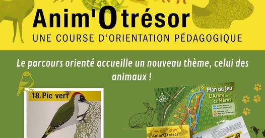 PARCOURS ORIENTE | Form aventures Saison 2025- Pourquoi Pratiquer de l’accrobranche Mulhouse 1