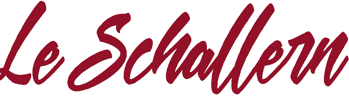 LOGO TEXTE 1140X321 | Form aventures Le Schallern- Chambres d’hôtes Pfastatt